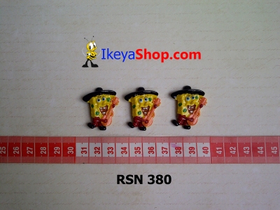 rsn 380  large2